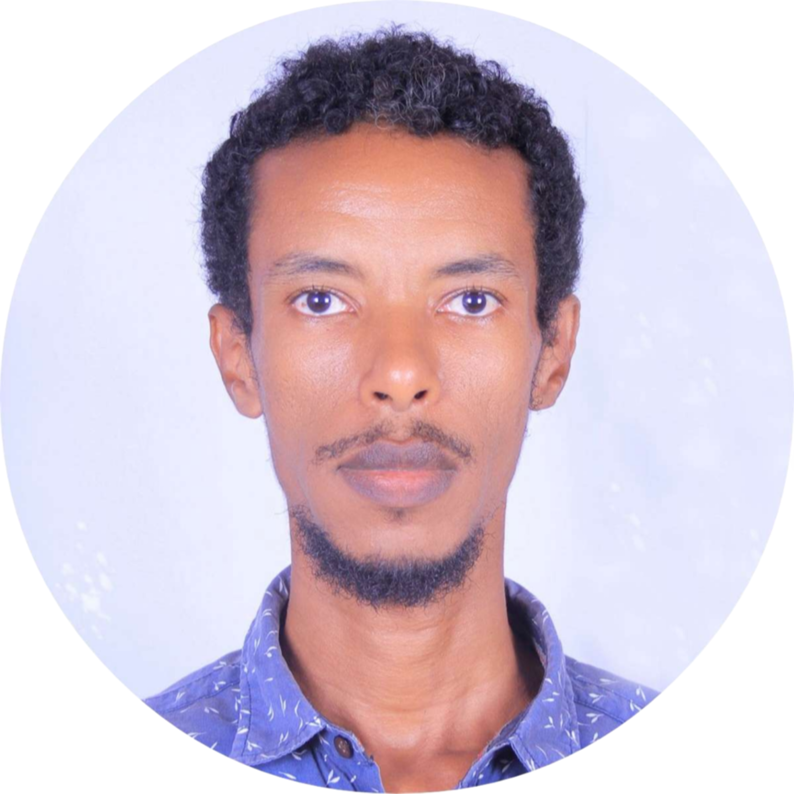 Avatar of Ali Abdela